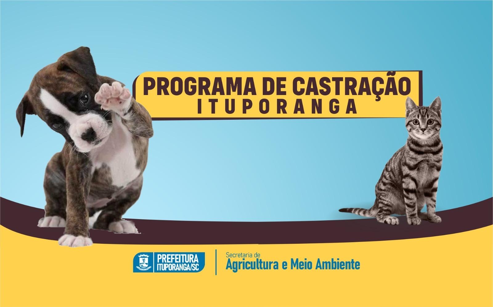 Castração Animal em Ituporanga: Passo Importante para o Bem-Estar e Controle Populacional